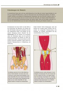 Erkrankungen der Muskeln