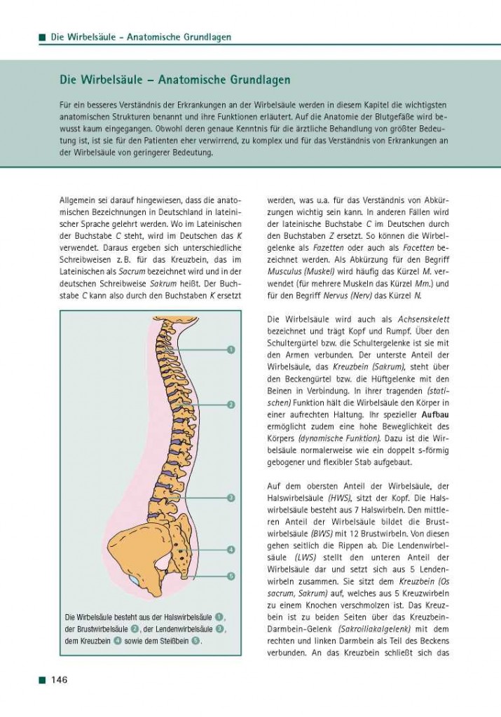 Die Wirbelsäule - Anatomische Grundlagen