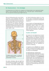 Der Nackenschmerz - Die Zervikalgie