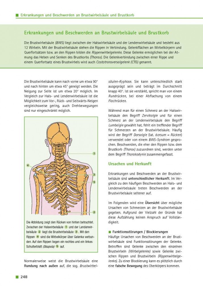 Erkrankungen und Beschwerden an Brustwirbelsäule und Brustkorb