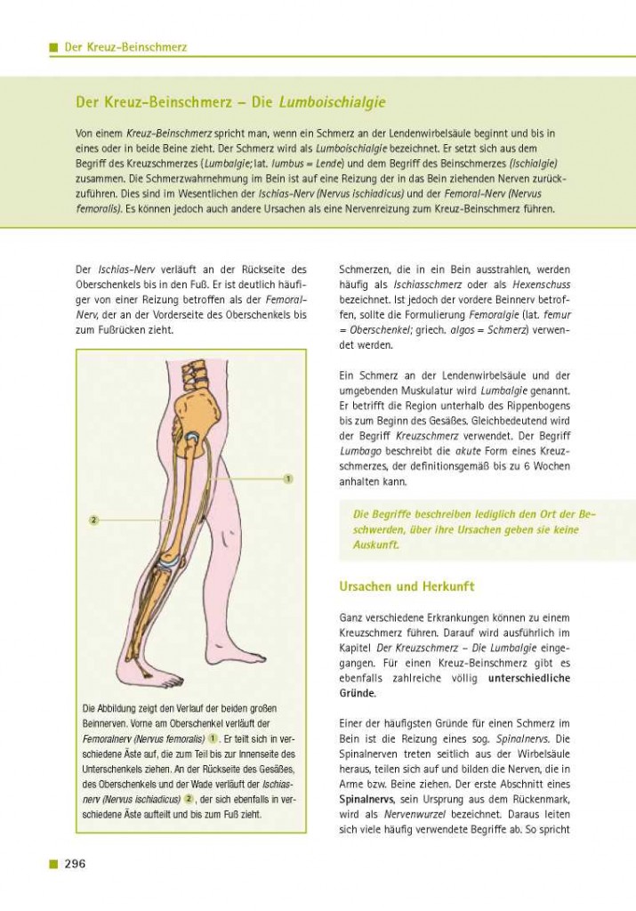 Der Kreuz-Beinschmerz – Die Lumboischialgie