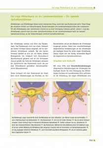Der enge Wirbelkanal an der Lendenwirbelsäule – Die lumbale Spinalkanalstenose