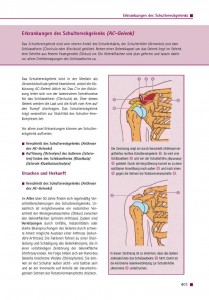 Erkrankungen des Schultereckgelenks (AC-Gelenk)