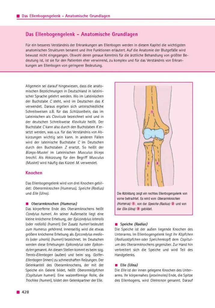 Das Ellenbogengelenk – Anatomische Grundlagen