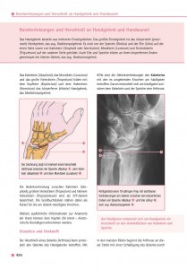 Bandverletzungen und Verschleiß an Handgelenk und Handwurzel
