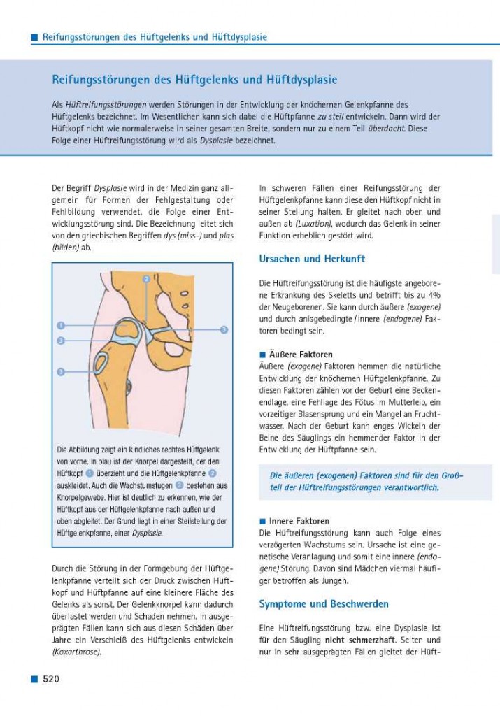 Für ein besseres Verständnis der Erkrankungen am Hüftgelenk werden in diesem Kapitel die wichtigsten anatomischen Strukturen benannt und ihre Funktionen erläutert. Auf die Anatomie der Blutgefäße und der Nerven wird bewusst nicht eingegangen. Obwohl deren genaue Kenntnis für die ärztliche Behandlung von größter Bedeutung ist, ist sie für den Patienten eher verwirrend, zu komplex und für das Verständnis von Erkrankungen an der Hüfte von geringerer Bedeutung.