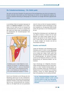 Die Schambeinentzündung – Die Ostitis pubis