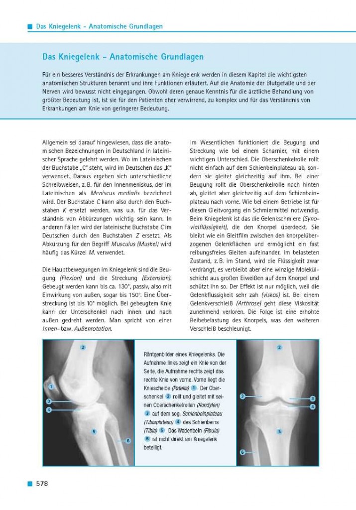 Das Kniegelenk – Anatomische Grundlagen