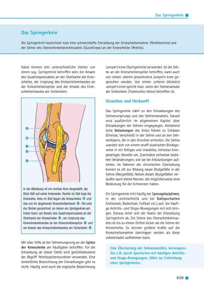 Das Springerknie