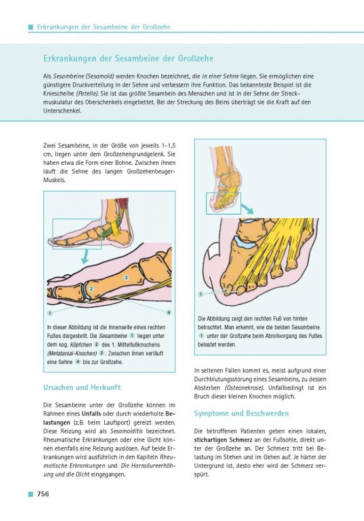 book international and interarea comparisons of